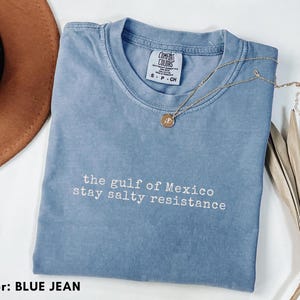Comfort Colors® Gulf of Mexico Shirt, Stay Salty and Resist Shirt, Resist Shirt, Gulf of Mexico, Gulf of Mexico Shirt, Political Shirt, Gift