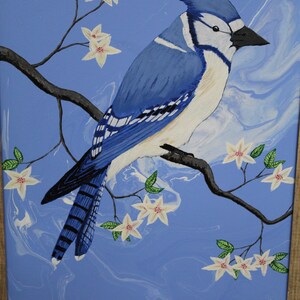 Birds
