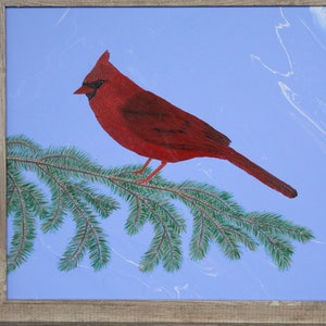 Birds