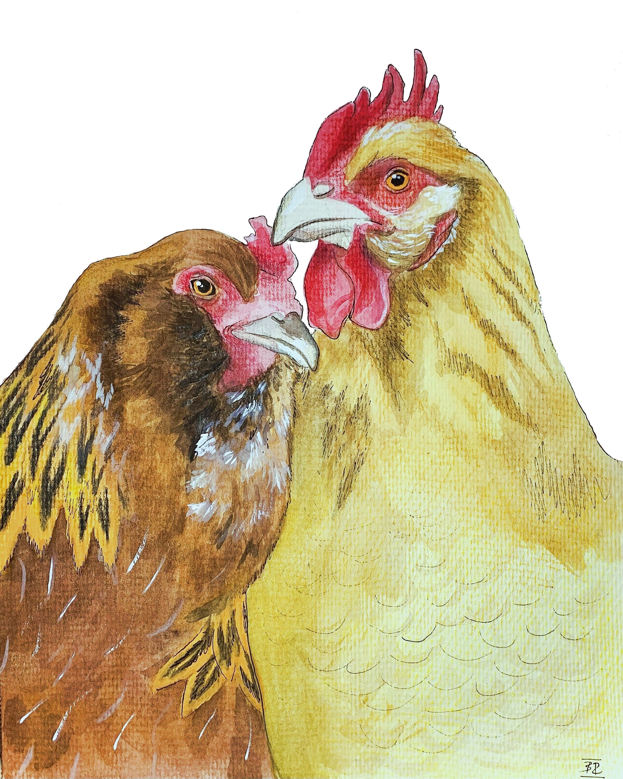 Ameraucana and Buff Orpington Chickens Watercolor Print - Etsy
