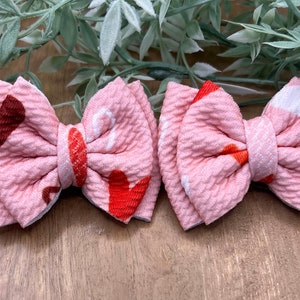 Valentine’s Day Hearts Double Bow Piggy Set