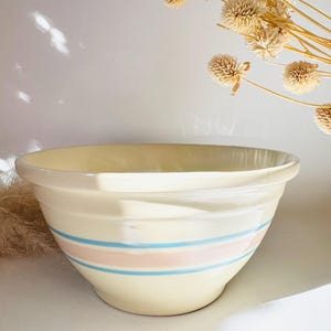 May include: Cream-coloured ceramic mixing bowl with two horizontal stripes in light blue and pink. The bowl has a wide rim and a rounded shape. Dried flowers are in the background.