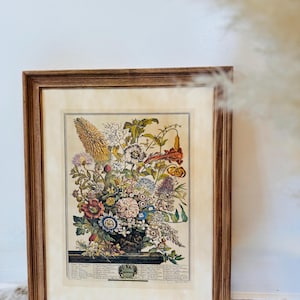 Vintage August Botanical Illustration-Framed Floral Art Robert Furber Series