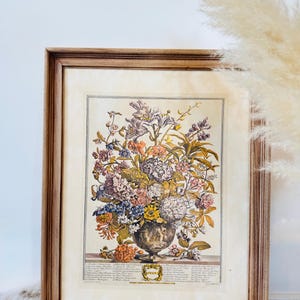 Vintage July Botanical Illustration-Framed Floral Art Robert Furber Series