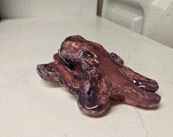 Pulpo