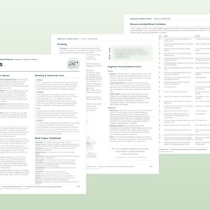 Op de afbeelding: Drie witte pagina's uit de Seriously Good Plants Organic Field Guide to Roses. De tekst bevat secties over het kiezen, planten, voeden en seizoensgebonden verzorgen van rozen, evenals biologische ongediertebestrijding en variëteiten.