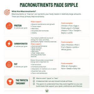 May include: An educational infographic titled Macronutrients Made Simple. It defines protein, carbohydrates, and fat, listing their caloric density, bodily functions, and food sources. The bottom section provides a summary takeaway about balanced diets.