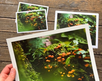 Orange cap mushroom print, fungi print, orange bonnet