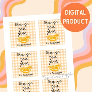 Etiqueta de regalo de agradecimiento para profesores de verano, naranja "Me alegra que sea verano", etiqueta "Feliz verano", etiqueta de regalo para el aula, etiqueta de fiesta de verano, etiqueta de recuerdo naranja