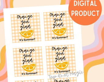 Sommer Geschenkanhänger für Lehrer, Orange, Sie sind froh, dass es Sommer ist, glücklicher Sommeranhänger, Geschenkanhänger für das Klassenzimmer, Sommerparty Anhänger, orangefarbener Geschenkanhänger