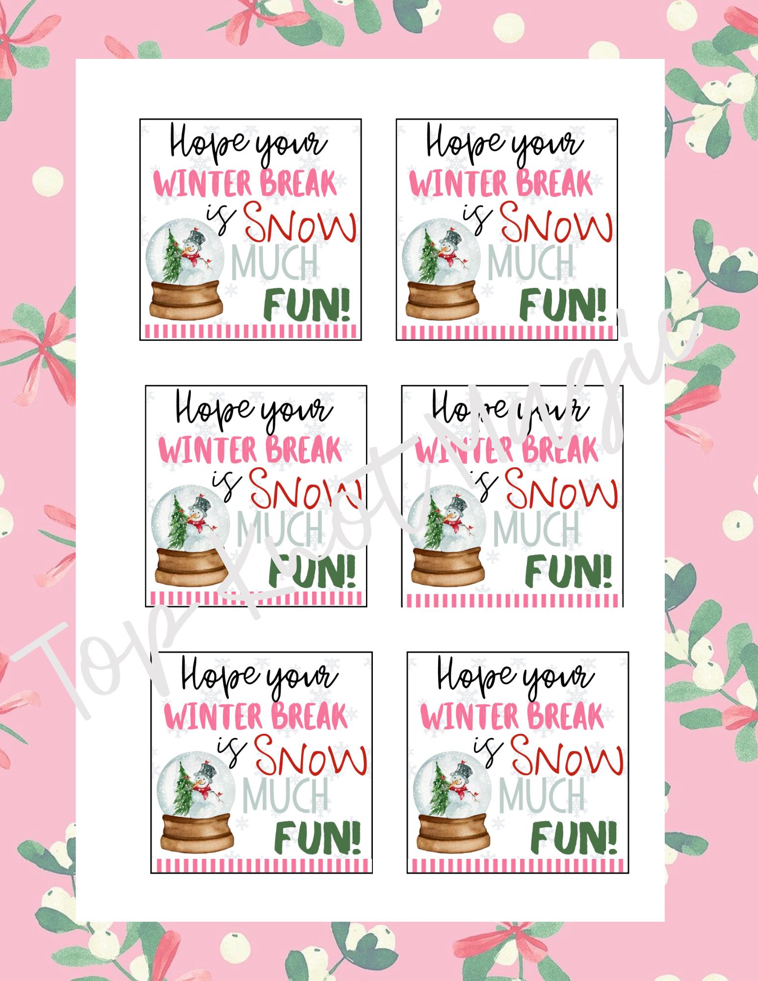 Hope Your Winter Break is Snow Much Fun Printable Gift Tag From Teacher ...