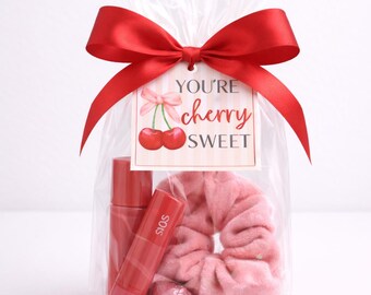 Kirsche Valentinstag druckbare Geschenkanhänger für Mini Geschenk Bündel, Lipgloss Haar Krawatte Klassenzimmer Valentinstag, Sofort Download