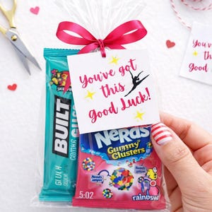 May include: A clear cellophane bag tied with a pink ribbon, containing a teal Built bar and a pink Nerds Gummy Clusters candy bag. A white tag with the text "You've got this Good Luck!" is attached.