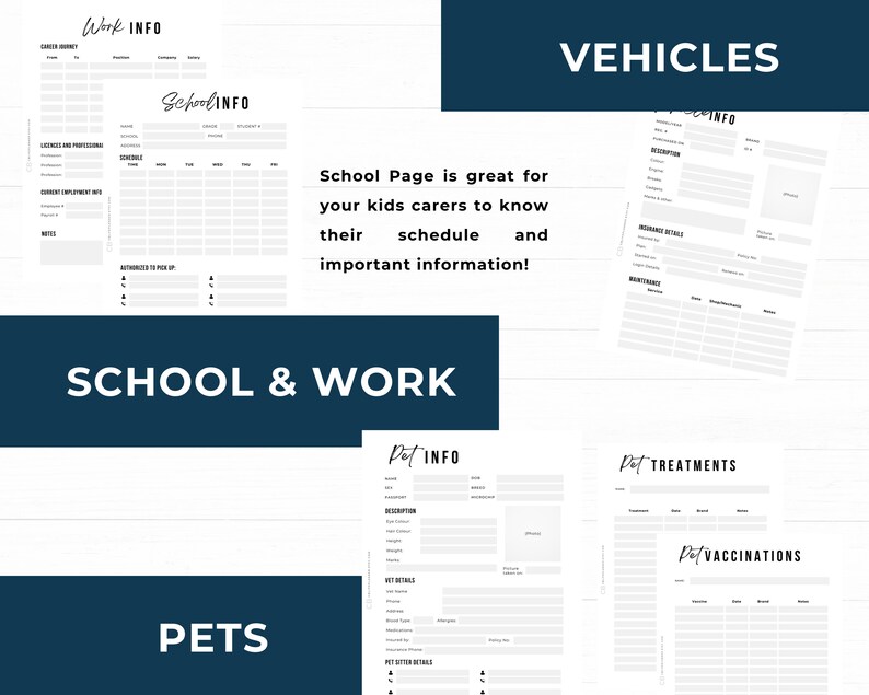 Vehicle information in case of theft or accident, Pet information in case it goes missing, Pet treatments and vaccinations. School and Work information.