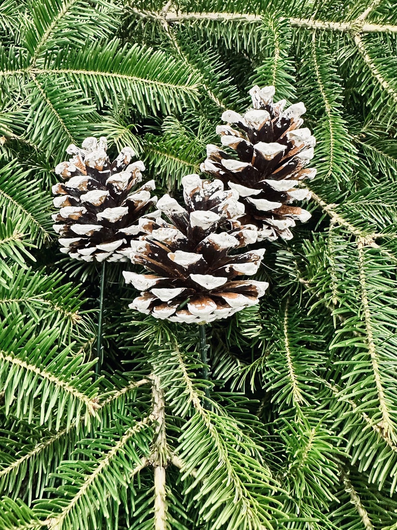 DIY Wreath Making Kit, Fresh Fir Boughs, Includes Everything Needed