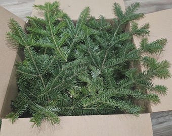 May include: A cardboard box filled with fresh, green fir tree branches. The branches are densely packed, with visible needles and a natural, organic appearance. The box is open, revealing the contents.