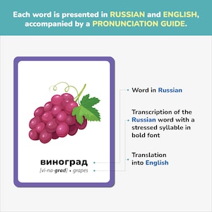 Educational Russian flashcard example showing bilingual layout: Russian word, phonetic transcription, and English translation. Each card is visually engaging to help kids learn pronunciation, vocabulary, and spelling. Perfect for bilingual families, language learners, and teachers promoting early language development.
