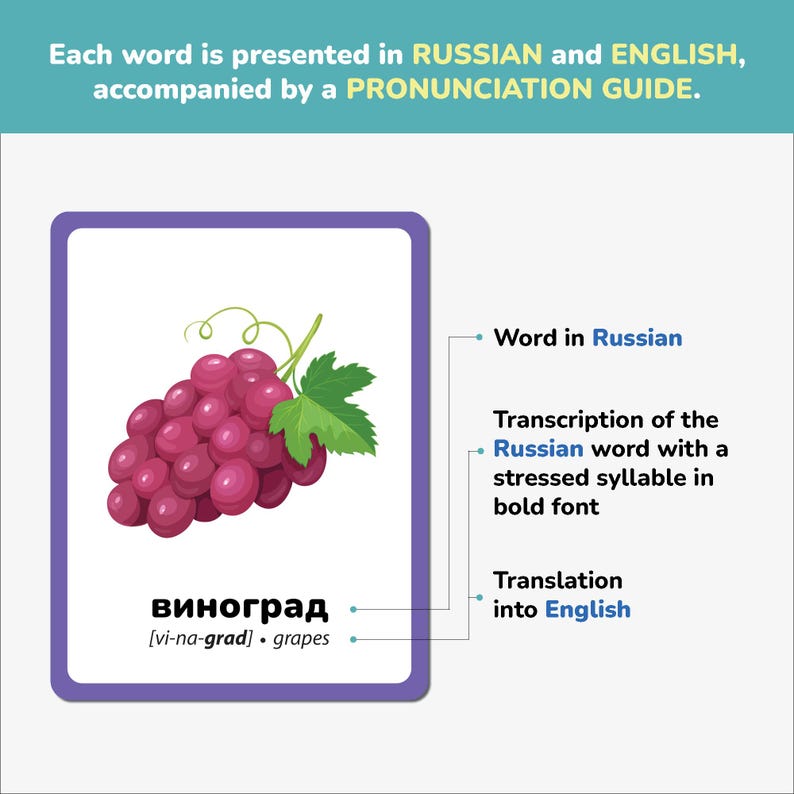 Educational Russian flashcard example showing bilingual layout: Russian word, phonetic transcription, and English translation. Each card is visually engaging to help kids learn pronunciation, vocabulary, and spelling. Perfect for bilingual families, language learners, and teachers promoting early language development.
