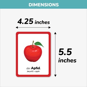 Each German flashcard measures 4.25 x 5.5 inches, printed on sturdy cardstock with rounded corners for child safety. Perfect size for little hands to hold and learn. Educational German learning cards with clear illustrations and bilingual words to help toddlers and preschoolers recognize everyday objects, animals, foods, and colors easily.