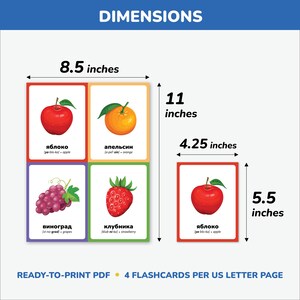 Digital Russian flashcards for children – teach first Russian words, letters, and vocabulary in a fun and educational way
