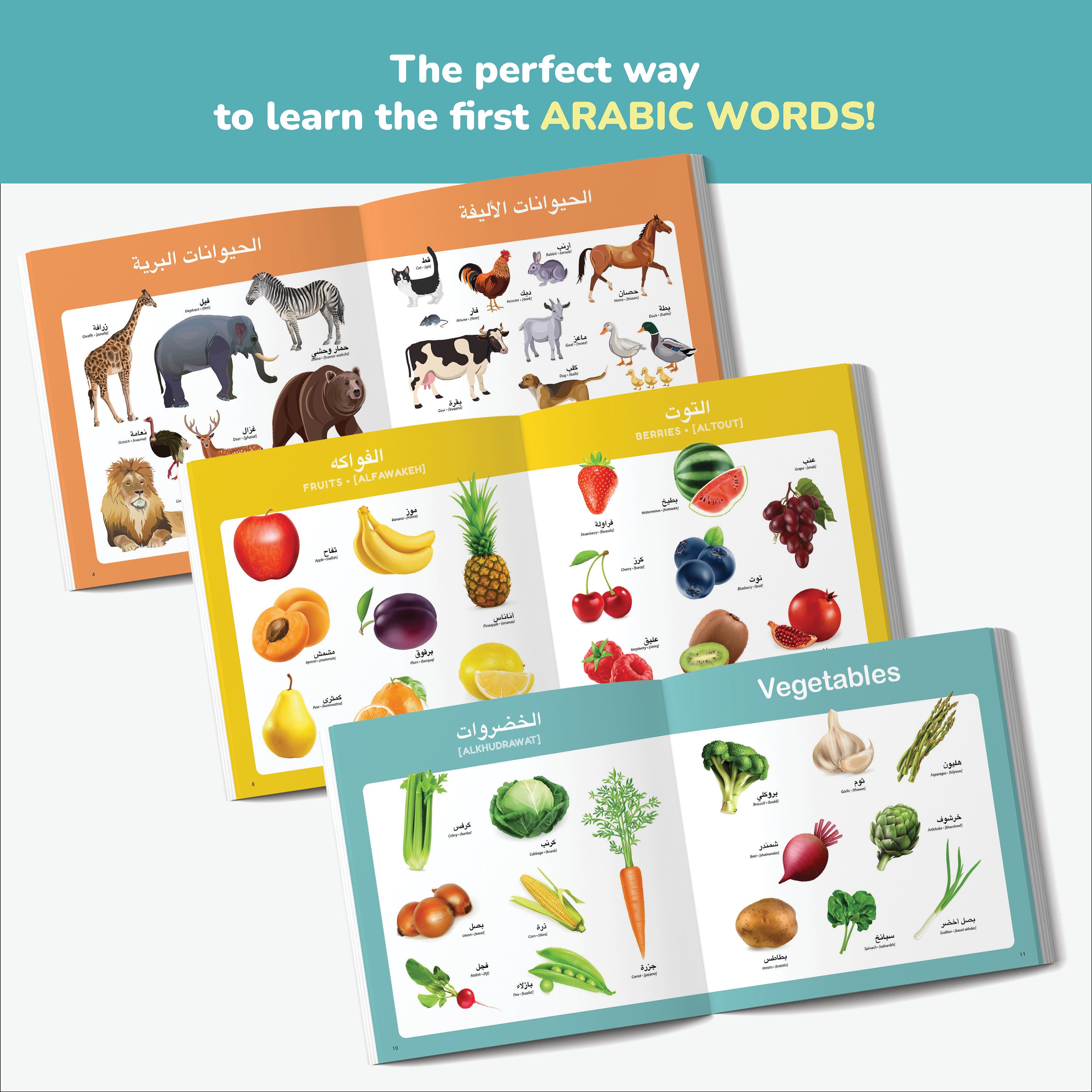 My First Arabic Book Arabic Books for Kids Arabic Alphabet Arabic ...