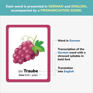 Educational German flashcard example showing bilingual layout: German word, phonetic transcription, and English translation. Each card is visually engaging to help kids learn pronunciation, vocabulary, and spelling. Perfect for bilingual families, language learners, and teachers promoting early language development.