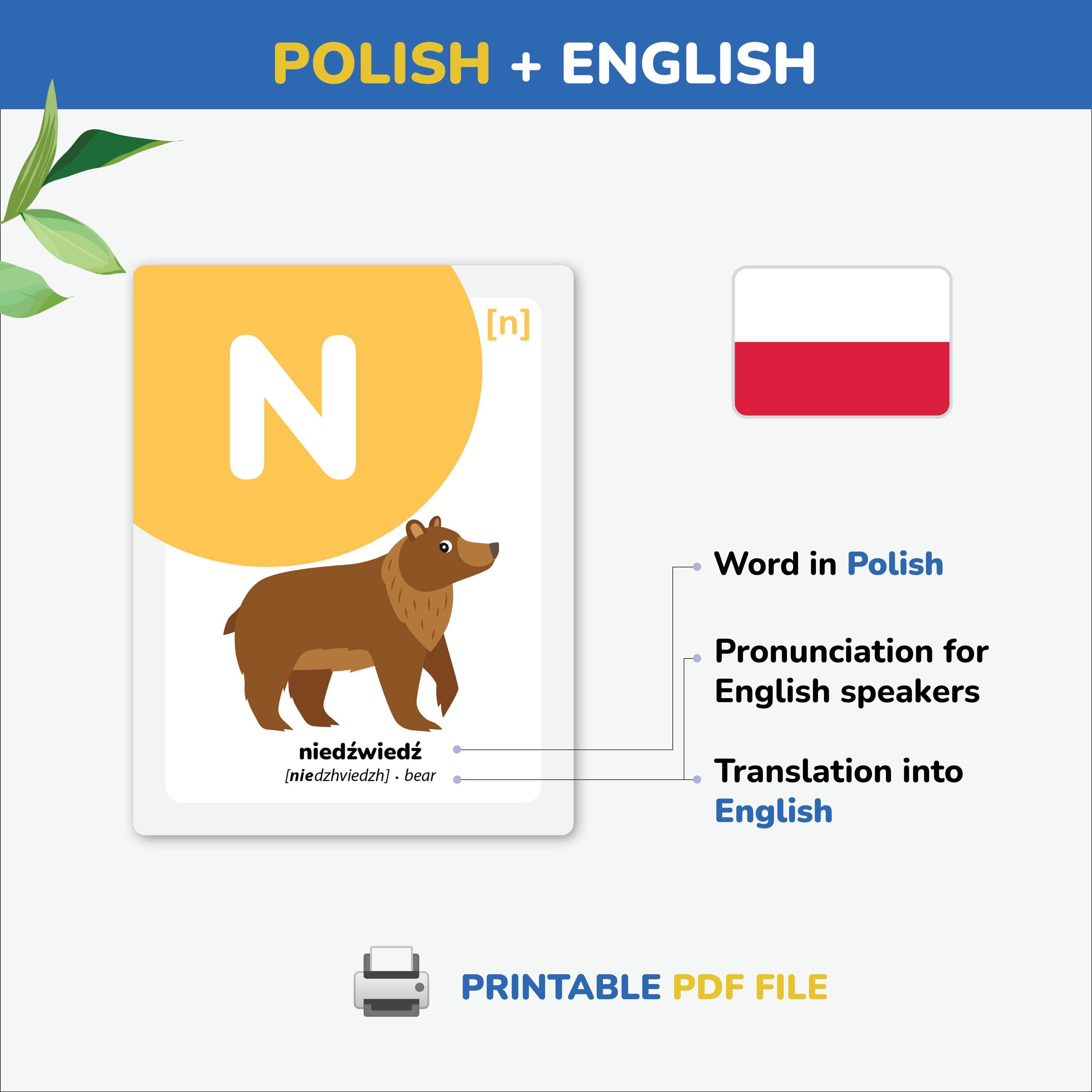 Polish Alphabet Flashcards Tracing Polish Letters Language Polish ...