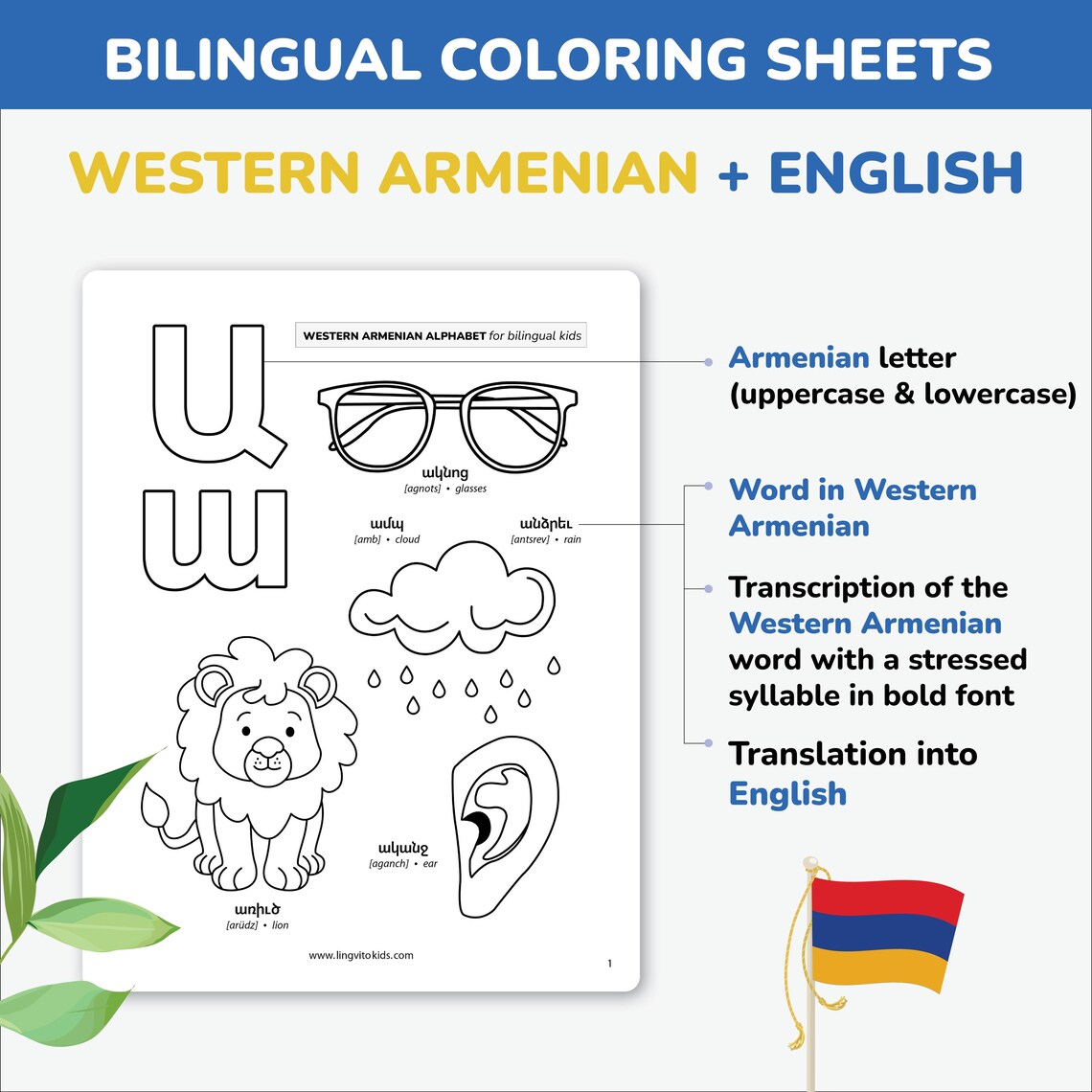 Western Armenian Alphabet Coloring Sheets Tracing Armenian Letters