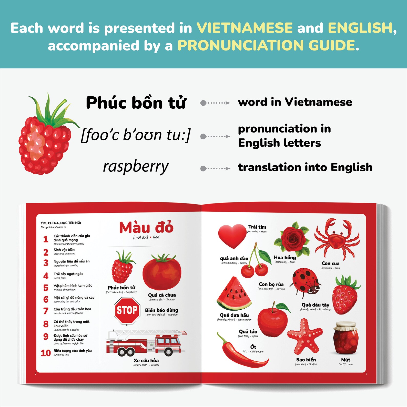Vietnamese Colors Book for Kids Vietnamese Language Vietnamese English ...