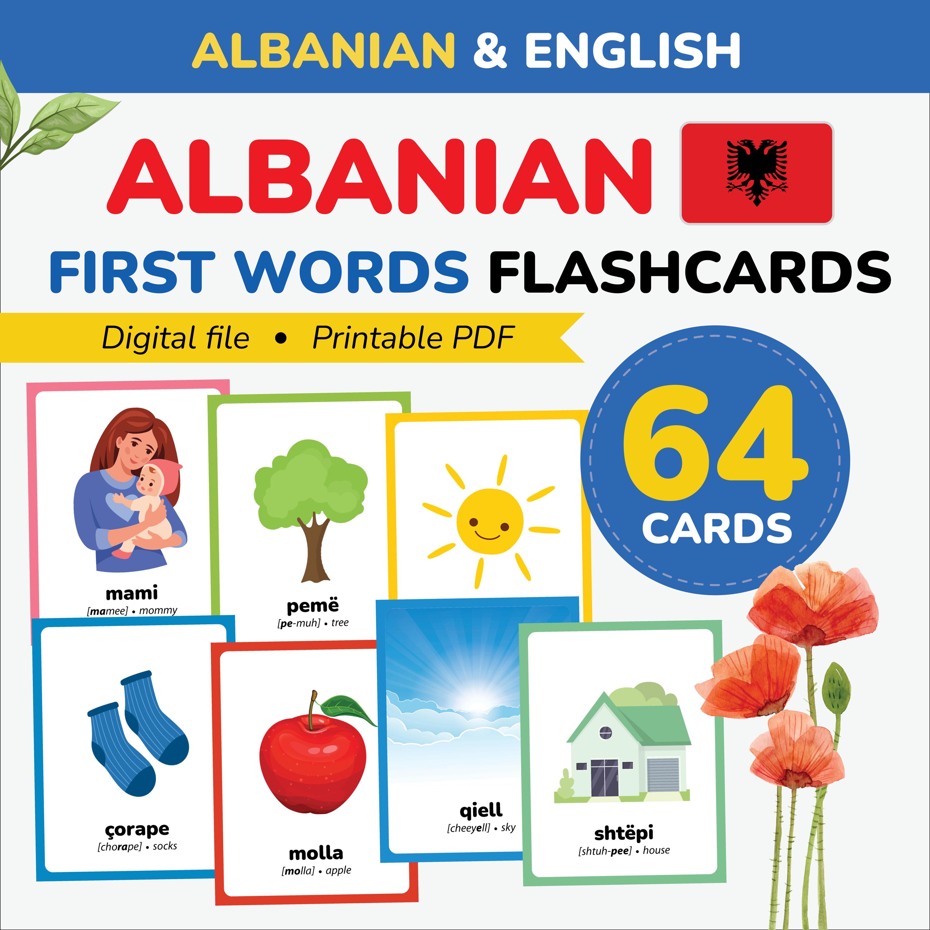 DIGITAL Albanian First Words Flashcards Learn Albanian Language ...
