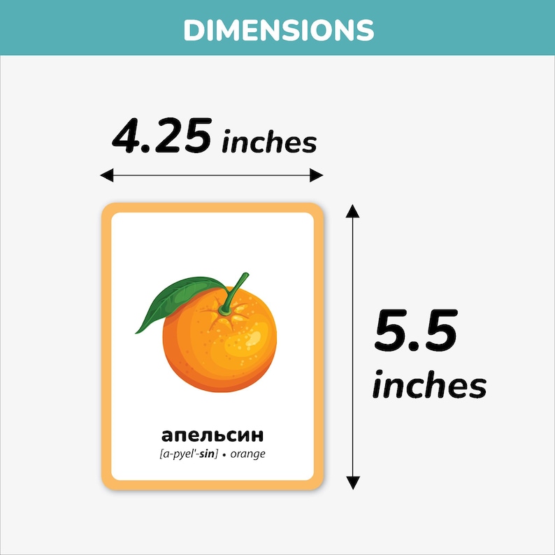 Each Russian flashcard measures 4.25 x 5.5 inches, printed on sturdy cardstock with rounded corners for child safety. Perfect size for little hands to hold and learn. Educational Russian learning cards with clear illustrations and bilingual words to help toddlers and preschoolers recognize everyday objects, animals, foods, and colors easily.