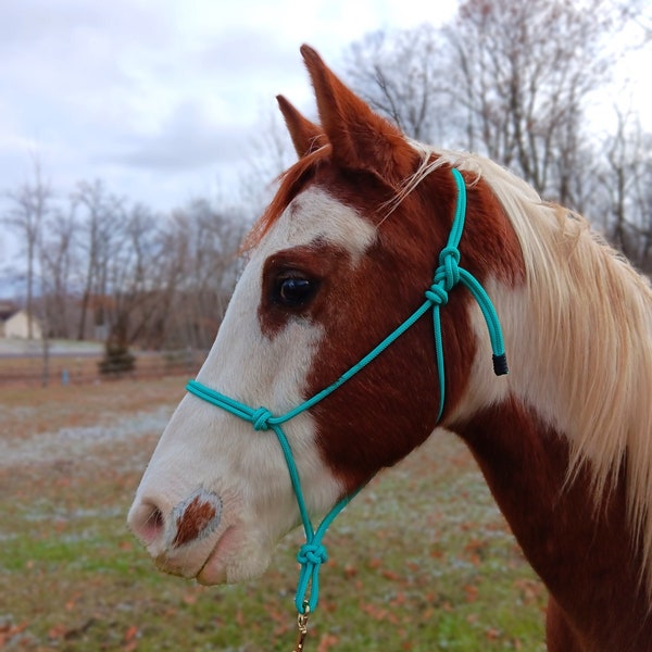 Horse Rope Halter, Groundwork, Natural Horsemanship, Clinician Style, Handmade, Custom, Training, Trick, Liberty, Paracord Noseband Optional