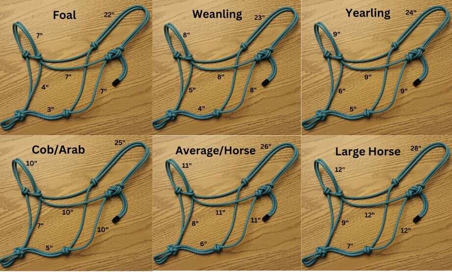 Horse Rope Halter, Groundwork, Natural Horsemanship, Clinician Style
