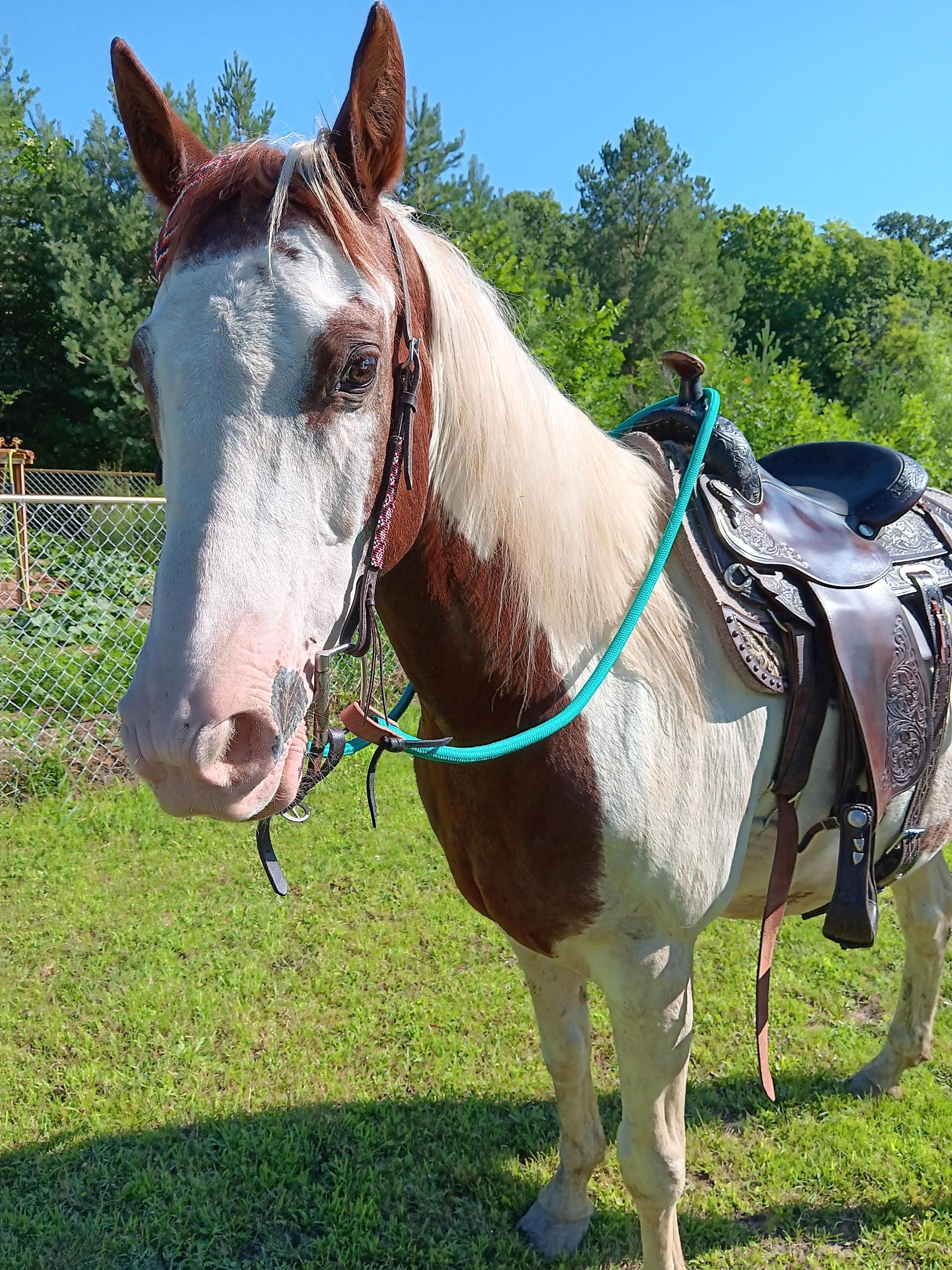 Loop Rope Reins, Optional Snap End, Custom Made Length, Barrel Reins ...