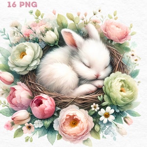 Bunny Blossom Dreams: conjunto de imágenes prediseñadas de conejo soñoliento, 20 PNG, imágenes prediseñadas de conejito de acuarela, imágenes prediseñadas de conejito bebé lindo, guardería de conejitos, descarga digital