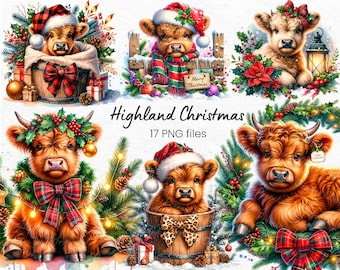 Highland Christmas Clipart Bundle Adorable Highland Cows with Festive Decorations Christmas Cow Art Cute Holiday Highlander Calf PNG