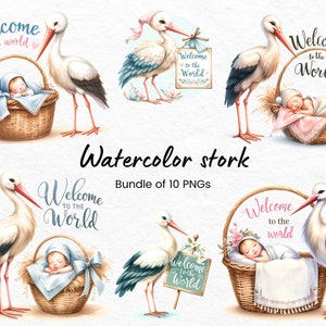 Pacchetto di clipart cicogna ad acquerello, cartello di benvenuto del mondo del bambino, cartello di benvenuto neonato, clipart di benvenuto neonato, Png di benvenuto del bambino