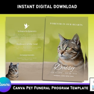 May include: A digital Canva pet funeral program template. The design features a tabby cat with green eyes, the text "Forever in Our Hearts," and the name "Daisy" with dates. The template includes sections for acknowledgments and arrangements.