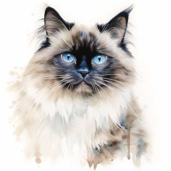 Himalayan Cat Portrait