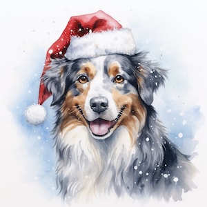 Australian Shepard Christmas Portrait (Merle color)