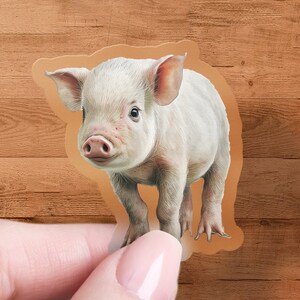 Pig Sticker, Pig Vinyl Decal, Farm Animal Decal, Car Decal, Laptop Sticker, Animal Lover Gift, Cute Pig Decal, Water Bottle Sticker