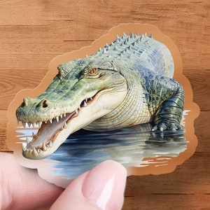 Crocodile Sticker, Cute Animal Decal, Laptop, Car, Water Bottle, Premium Quality Sticker, Waterproof with Multiple Sizes & Styles