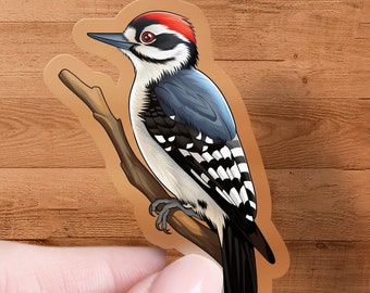 Downy Woodpecker Sticker, Waterproof Bird Watcher Decal