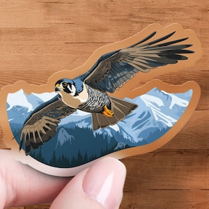 Peregrine Falcon Sticker, Bird Watcher Decal, Laptop, Car Window Decal, Water Bottle, Premium Quality, Multiple Waterproof Sizes & Styles