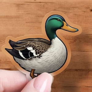 Mallard Duck Sticker, Bird Watcher Decal, Laptop, Car Window Decal, Water Bottle, Premium Quality, Multiple Waterproof Sizes & Styles
