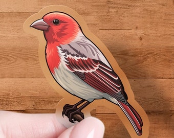 House Finch Sticker, Bird Watcher Decal, Laptop, Car Window Decal, Water Bottle, Premium Quality, Multiple Waterproof Sizes & Styles