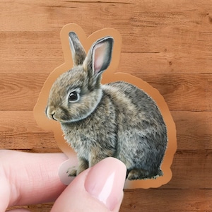 Bunny Sticker, Easter Bunny Decal, Car Decal, Vinyl Decal, Water Bottle Sticker, Waterproof, UV-Protected, Multiple Sizes & Styles Available