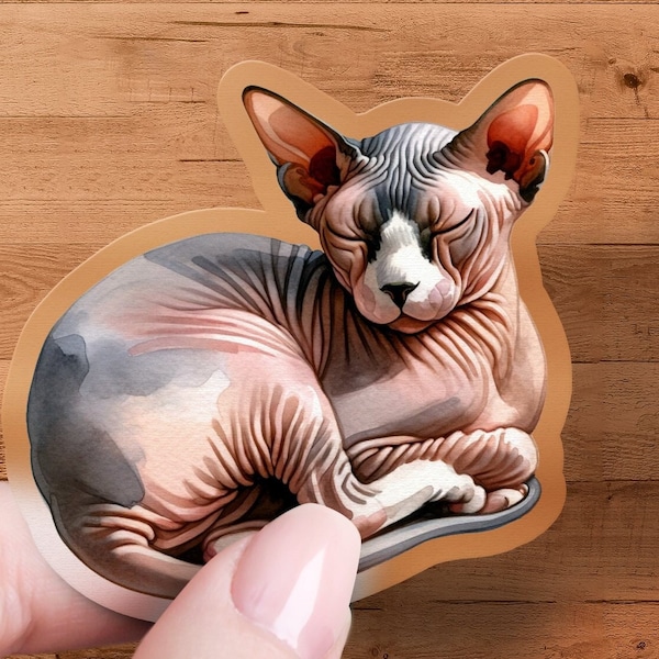 Sphynx Cat Sticker, Cute Hairless Cat Decal, Laptop and Water Bottle Decoration, Pet Lover Gift, Unique Vinyl Stickers, Pink Cat Art