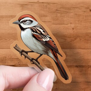 May include: A brown and white bird with red markings on its wings is perched on a branch. The bird is a sticker with a glossy finish.
