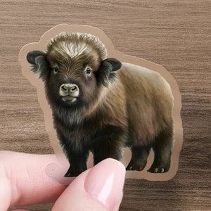 Muskox Sticker, Muskox Outdoors Decal, Muskox Car Decal, Muskox Gift, Muskox Lover Gift, Muskox Luggage Sticker, Water Bottle Sticker